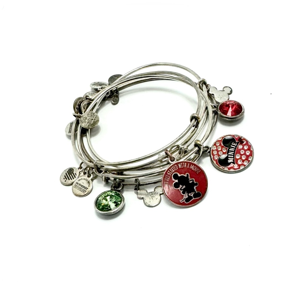 Pre-Owned Alex and Ani Set of 4 Disney Park Exclusive Bangle Bracelet